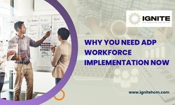 Why You Need ADP Workforce Implementation Now – Ignite HCM