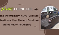 Beyond the Ordinary: XLNC Furniture and Mattress, Your Modern Furniture Stores Haven in Calgary