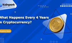 What Happens Every 4 Years in Cryptocurrency?