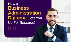 How a Business Administration Diploma Sets You Up for Success?