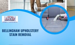 Restoring Elegance: The Art and Science of Upholstery Stain Removal in Bellingham