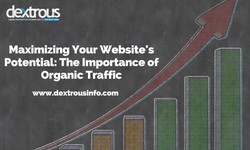 Maximizing Your Website's Potential: The Importance of Organic Traffic