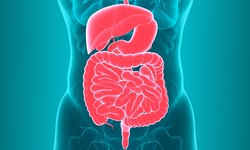 How to Manage Digestive Diseases
