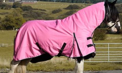 Pretty in Pink: Top Picks for the Stylish Horse Rug