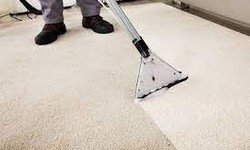 Make Your Home Sparkle: Henderson's Carpet Cleaning Magic