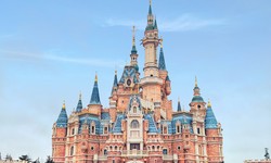 Unlocking the Magic: A Beginner's Guide to Disney Plus