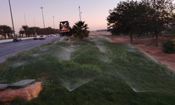 The Role of Advanced Irrigation Systems in Saudi Arabia