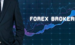 Best Forex Broker: Navigating the Path to Financial Success