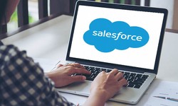 Dominate the Market: Transforming Your Business Through Salesforce Development