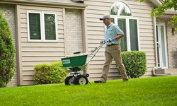 The Complete Guide to Lawn Care Services: What's Included and Why It Matters