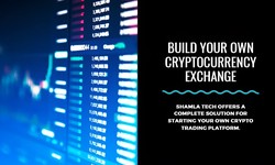 Top 10 Cryptocurrency Exchange Development: A Comprehensive Guide