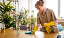 Home Cleaning Services in Sarasota