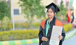 Shaping Young Minds: Diploma in Elementary Education Colleges