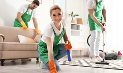 The Impact of Professional Residential Cleaning in Raleigh