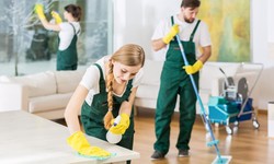 Maid Service Marvels: Keeping Raleigh Homes Immaculate