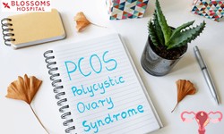 PCOS: You're Not Alone - Information, Support, and Hope for Women