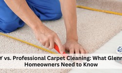 DIY vs. Professional Carpet Cleaning: What Glenroy Homeowners Need to Know