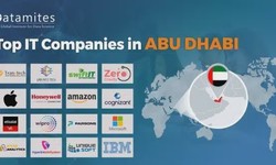 IT Companies in Abu Dhabi: IT Companies Shaping Abu Dhabi's Future