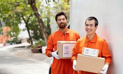 Discover the Best Packers and Movers in Jaipur