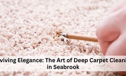 Reviving Elegance: The Art of Deep Carpet Cleaning in Seabrook