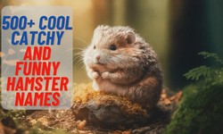 Funny Hamster Names: A Hilarious Guide to Naming Your Furry Friend