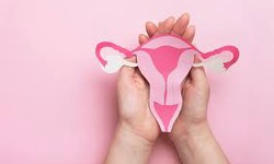 A Quick Guide to Menstrual Health