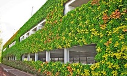 Elevating Green Spaces: Noida Greens Nursery's Mastery in Vertical Walls, Lawn Grass