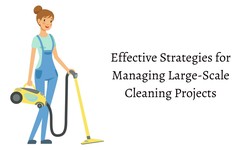 Effective Strategies for Managing Large-Scale Cleaning Projects