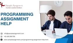 Why Students Need Programming Assignment Help Online?