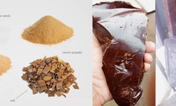 Welcome to Herbal Extract Manufacturer & Supplier in Delhi | India