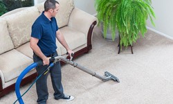 The Hidden Hazards: How Ignoring Carpet Damage Can Affect Your Health