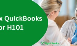 How to fix QuickBooks Error H101 | Causes and Solutions