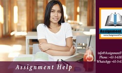The Role of Subject Matter Experts in Providing Assignment Help