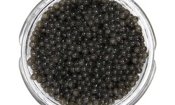 The Health Benefits of Kaluga Sturgeon Caviar: Indulgence with Benefits