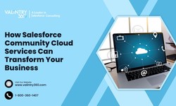 How Salesforce Community Cloud Services Can Transform Your Business – VALiNTRY360