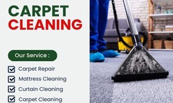 The Importance of Professional Carpet Cleaning for Your Home