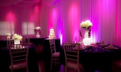Illuminate the Details: A Guide to Pin Spot Light Rentals Miami