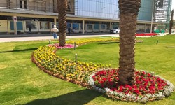 How to Maintain a Beautiful Garden with a Landscaping Company in Saudi Arabia