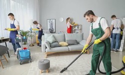 Expert Carpet Cleaning Services Near Me - Your Local Solution!