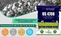 Navigating the Agricultural Landscape: Choosing the Right Cotton Seeds Company in India