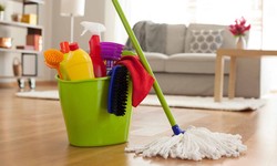 Tackling Pet Hair: How Cleaners Keep Your Home Clean And Fresh