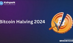 Bitcoin Halving 2024: Top 8 Facts Need to Know