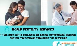 Surrogacy in Gurgaon | A Complete Guide about Surrogacy in Gurgaon.