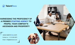 Harnessing the Proficiency of a Premier Staffing Agency to Propel Your Company's Ascension and Prosperity