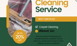 From Grimy to Gleaming: GS Murphy's Pro Carpet Cleaning Techniques