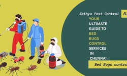 Your Essential Guide to Bed Bug Control in Chennai