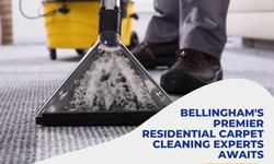 Bellingham's Premier Residential Carpet Cleaning Experts Awaits