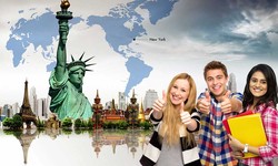 How a Study Abroad Consultant Can Guide You Through the Process