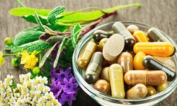 Herbal Support for Immune Health: Strengthening Your Body's Defenses