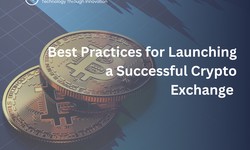 Best Practices for Launching a Successful Crypto Exchange